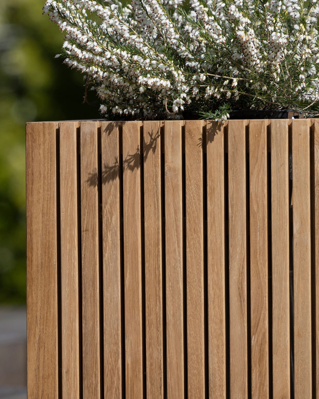 Multifunktionel Langelinie Box
