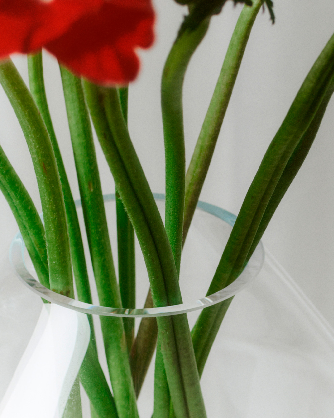Elegant vase i moderne fortolkning