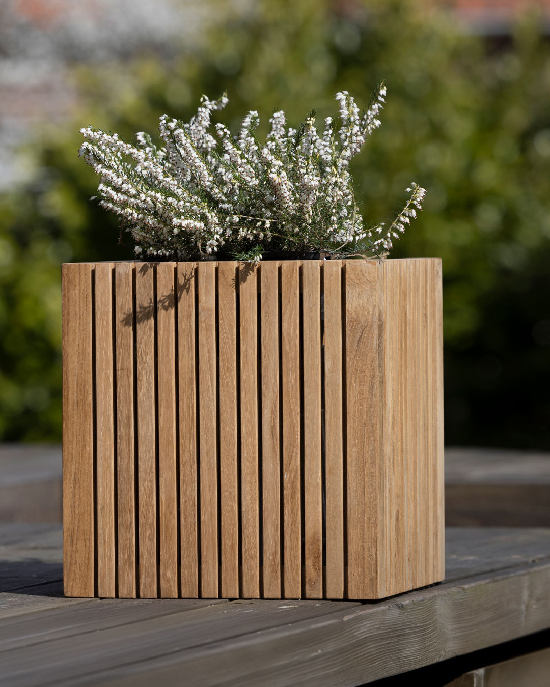 Multifunktionel Langelinie Box